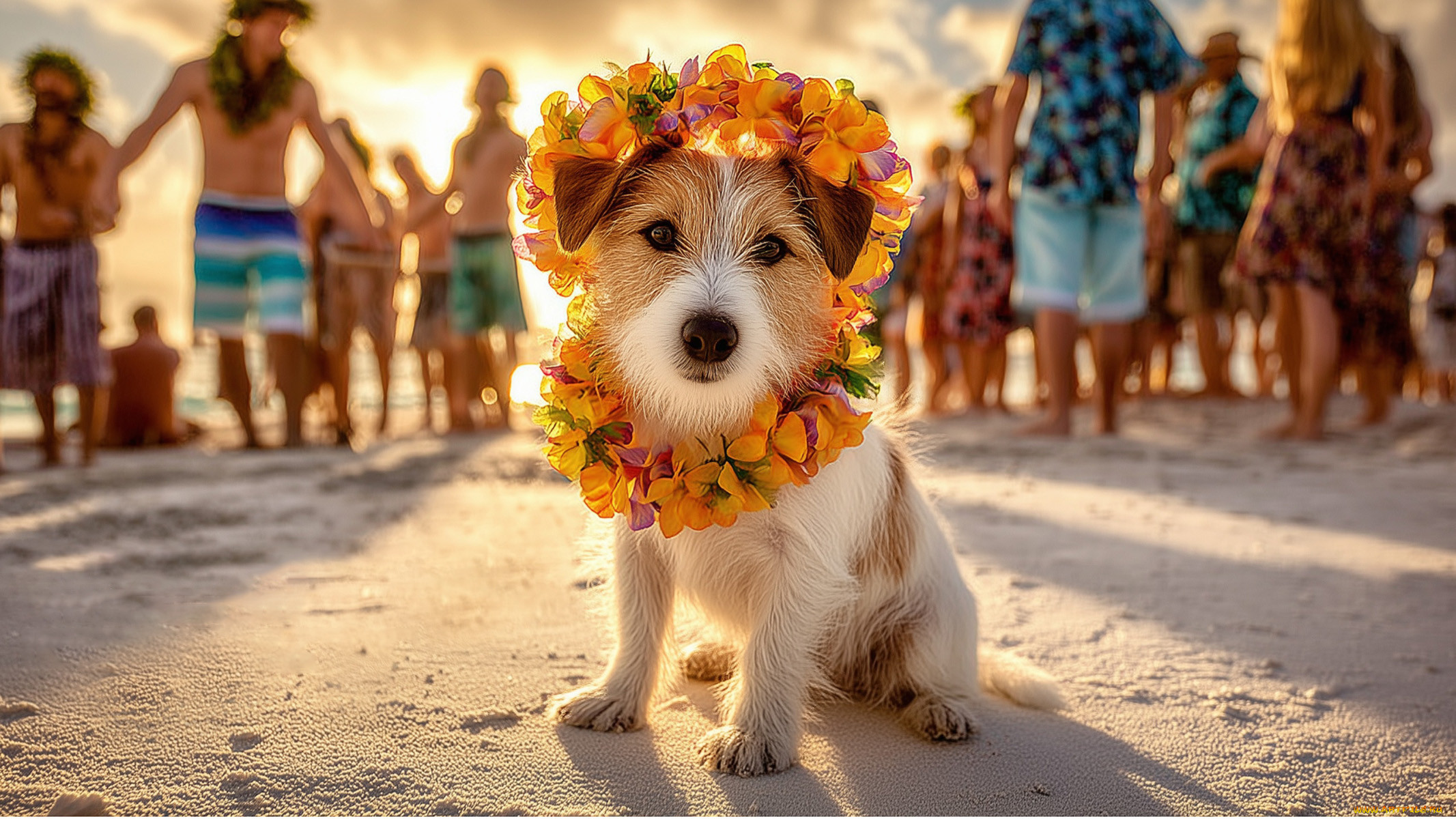 3 ,    , people and animals, , , , ai, art, , , , , , , graphics, neuroart, neural, networks, drawings, neuro, neurography